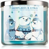 Bath &amp; Body Works Snowflakes &amp; Citrus lum&acirc;nare parfumată I. 411 g