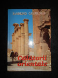 Sandrino Gavriloaia - Calatorii orientale (2007, editie cartonata)