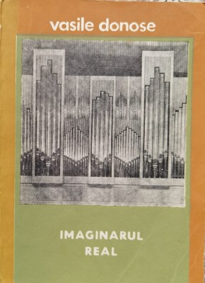 Imaginarul Real - Vasile Donose , D775 foto
