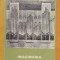 Imaginarul Real - Vasile Donose , D775