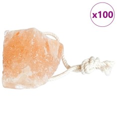 vidaXL Pietre de Sare pentru Lins 100 pcs Roz Pietre