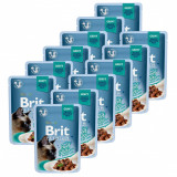 Pliculeț BRIT Premium Cat Delicate Fileuri &icirc;n sos cu Vită 12 x 85 g