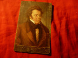 Ilustrata - Personalitati Muzica - Compozitor Schubert - cca. 1900