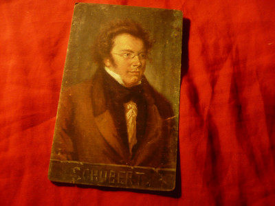 Ilustrata - Personalitati Muzica - Compozitor Schubert - cca. 1900 foto