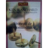 Anca Ionici - Strategii de responsabilizare (Editia: 2007)