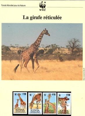 Kenia 1989 - Girafa reticulata, Set WWF, 6 poze, MNH, (vezi descrierea) foto