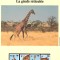 Kenia 1989 - Girafa reticulata, Set WWF, 6 poze, MNH, (vezi descrierea)