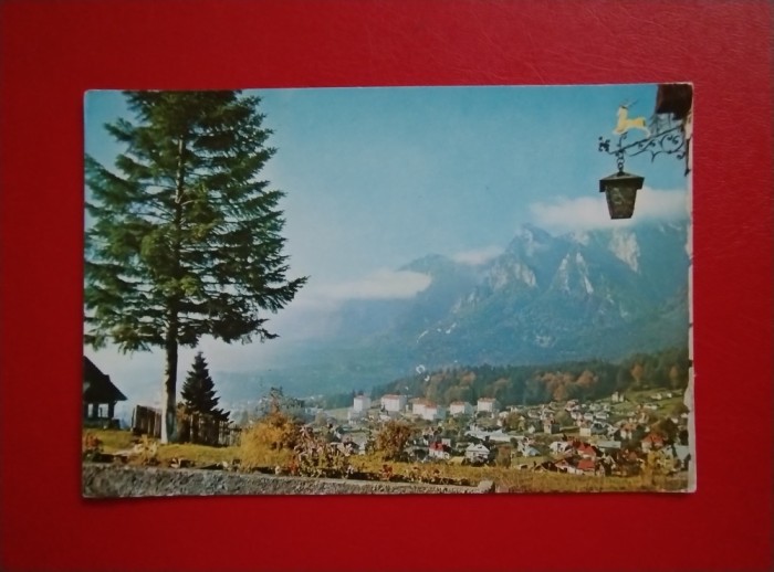 CARTE POSTALA - BUSTENI