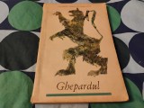 Ghepardul. Roman
