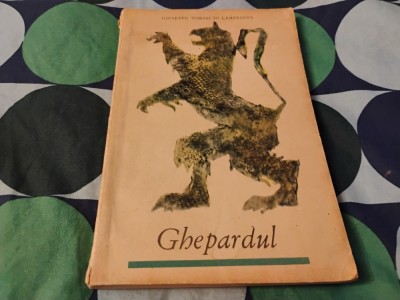 Ghepardul. Roman foto