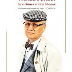 Clepsidra de aer. Vasile Burlui in viziunea criticii literare - Paul Gorban