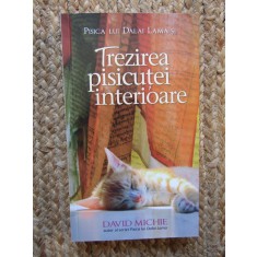 Pisica lui Dalai Lama si trezirea pisicutei interioare - David Michie