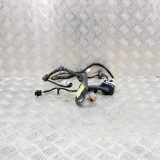 Cablaj ușă dreapta spate DODGE RAM 1500 Pick-up DJ, DS 2018 OEM: 7184-4230,16238CO 13885999