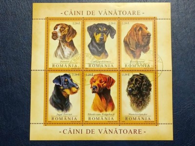 Romania 2005 - Caini de vanatoare, bloc stampilat foto