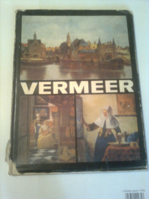 VERMEER OF DELFT ( album pictura ) ~ VASILE NICOLESCU foto