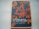 Fiziologia plantelor. Lucrari practice - O. Boldor, O. Raianu, M. Trifu