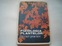Fiziologia plantelor. Lucrari practice - O. Boldor, O. Raianu, M. Trifu
