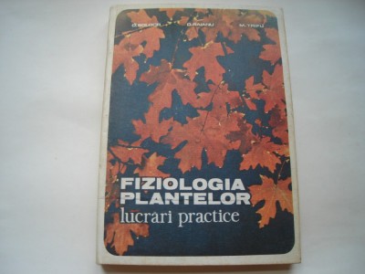 Fiziologia plantelor. Lucrari practice - O. Boldor, O. Raianu, M. Trifu foto