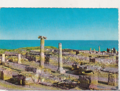 bnk cp Dobrogea - Ruinele cetatii antice Histria - necirculata - Kruger 1135/12 foto