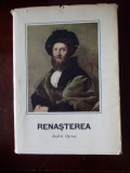 Cumpara ieftin RENASTEREA-ANDREI OTETEA-CARTONATA SUPRACOPERTA-R3B