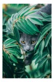 Tablou Canvas Pisică &icirc;n Tufiș Verde Natură Misterioasă, 26 x 39 cm, CMCLASS