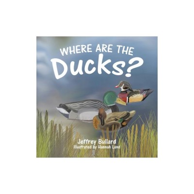 Where Are the Ducks? foto