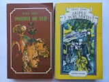 HENRY JAMES - POTIRUL DE AUR + ARIPILE PORUMBITEI