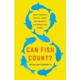 Can Fish Count?