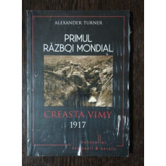 PRIMUL RAZBOI MONDIAL CREASTA VIMY 1917 - ALEXANDER TURNER