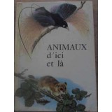 ANIMAUX D&#039;ICI ET LA (CARTE DESPRE ANIMALE INTEGRAL COLOR)-TIM FIELDMAN, H. FAY-232577
