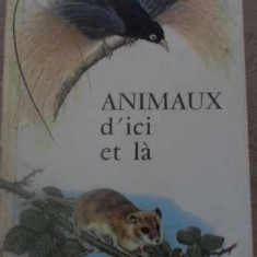 ANIMAUX D'ICI ET LA (CARTE DESPRE ANIMALE INTEGRAL COLOR)-TIM FIELDMAN, H. FAY