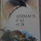 ANIMAUX D&#039;ICI ET LA (CARTE DESPRE ANIMALE INTEGRAL COLOR)-TIM FIELDMAN, H. FAY-232577