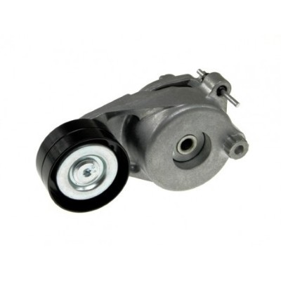 MTR 12140643 Intinzator curea, curea distributie foto