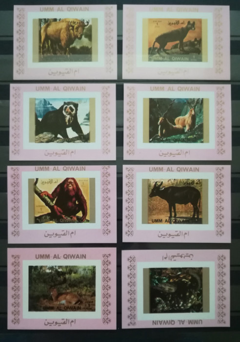 BC198, Umm al Qiwain 1972, serie 16 mini-colite neperforate-fauna