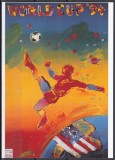 Germania 1994 - C.M. de fotbal - SUA, Carte postala nescrisa, Nestampilat