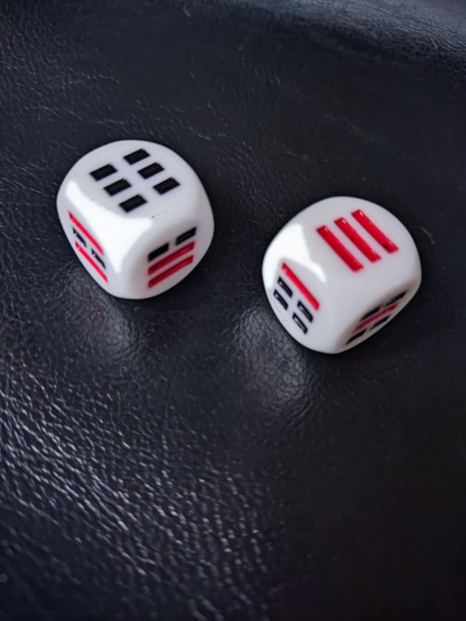 SET 2 ZARURI - I CHING ORACLE - YI JING ORACOLUL (DIVINATIE, GHICIREA VIITORULUI, TRIGRAME, HEXAGRAME, CARTEA SCHIMBARILOR )