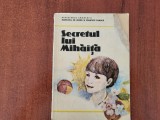 Secretul lui Mihaita de Ionel Dorobantu