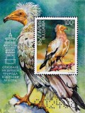 Bulgaria 2024 - Vultur egiptean - 2 blocuri MNH