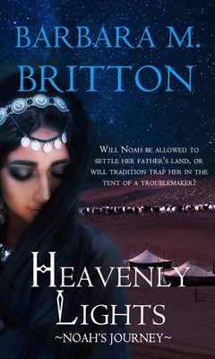 Heavenly Lights: Noah&amp;#039;s Journey foto