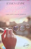 GEOMETRIA IUBIRII. IUBIRE, ARTA SI PASIUNE SALBATICA-JESSICA LEVINE-238941