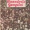 Meandrele Gangelui