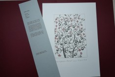 &rdquo;Păducel&rdquo;, Ștefan C&acirc;lția, serigrafie, certif autenticitate, mapă, 37 x 27 cm