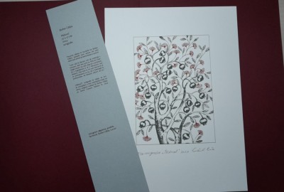 &amp;rdquo;Păducel&amp;rdquo;, Ștefan C&amp;acirc;lția, serigrafie, certif autenticitate, mapă, 37 x 27 cm foto