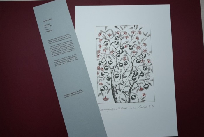 &rdquo;Păducel&rdquo;, Ștefan C&acirc;lția, serigrafie, certif autenticitate, mapă, 37 x 27 cm