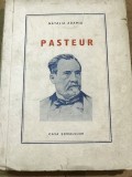 X. CRT Interbelica - Pasteluri - Natalia Adamiu
