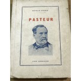 X. CRT Interbelica - Pasteluri - Natalia Adamiu