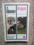In ajun - I. S. Turgheniev