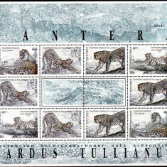 UZBEKISTAN 1997, Fauna, Feline, serie neuzata, MNH