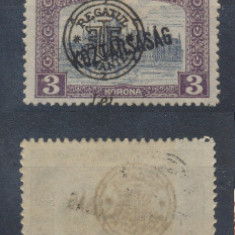 Emisiunea Oradea 1919 Parlament Koztarsasag 3 Lei eroare sursarj deplasat MNH