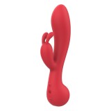 Vibrator rabbit DREAMTOYS Amour Camille, pentru stimularea clitorisului și punctului G, 10 funcții de vibrație, roșu